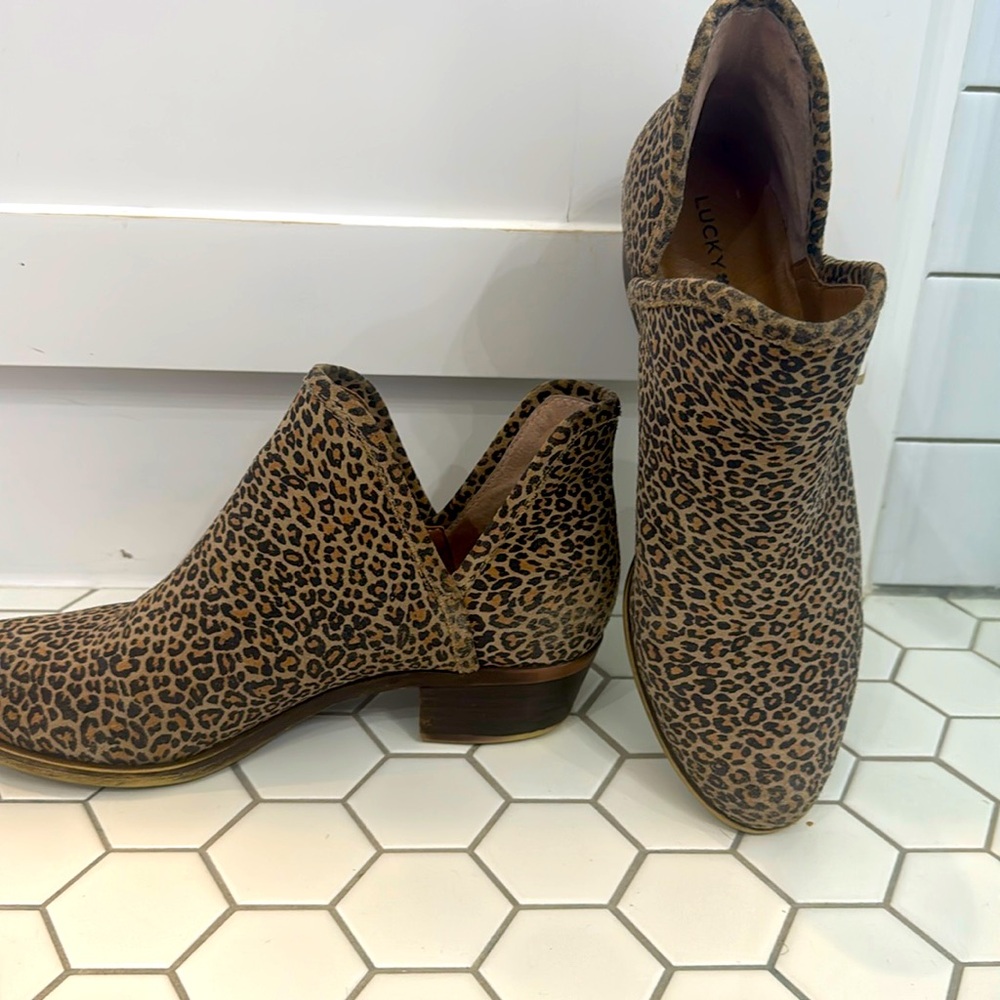 womans Toms leopard  bootie